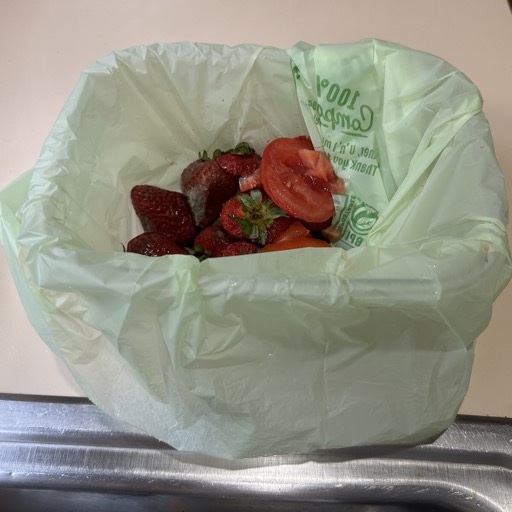 Countertop compost bag